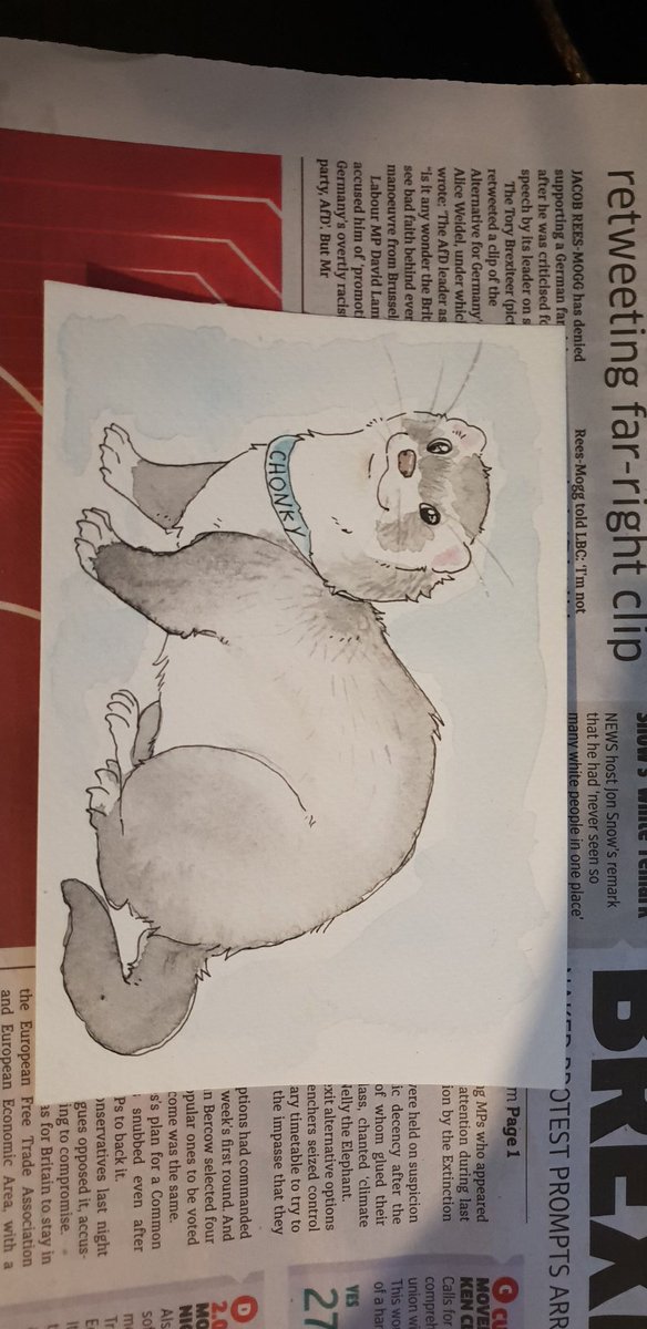 i did somw little water colour post cards! the badger didnt come of so well sadly but super proud of thr others!