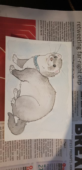 i did somw little water colour post cards! the badger didnt come of so well sadly but super proud of thr others! 
