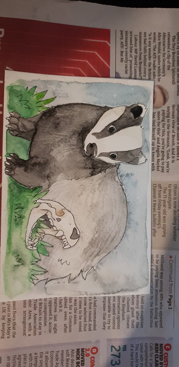 i did somw little water colour post cards! the badger didnt come of so well sadly but super proud of thr others! 