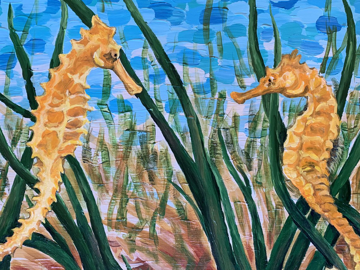 AmbersNature's tweet photo. Been a couple years since I’ve painted #seahorses . So glad I was able to create a new piece with these sweet creatures. https://t.co/cvtoX7QtNH