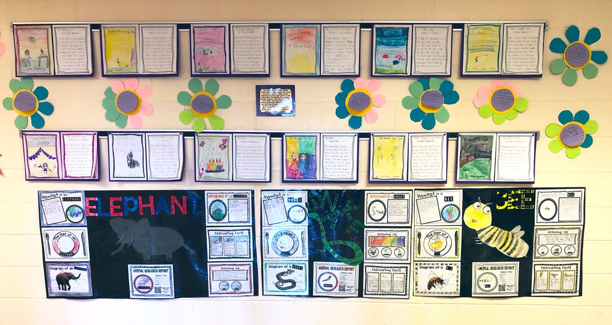 Superheroes_NH's tweet photo. Did you see all the amazing work the superheroes displayed for success night?! I am constantly blown away by these kids! Fraction flowers, realistic fiction stories, animal research, flip grids, and more! #firstgrade #gbwpride #successnight https://t.co/rqOUDmzQ5n