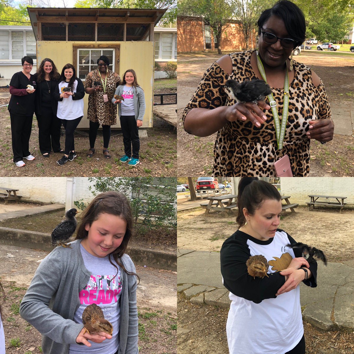 Ms. Milons, Ed.S. tweet media