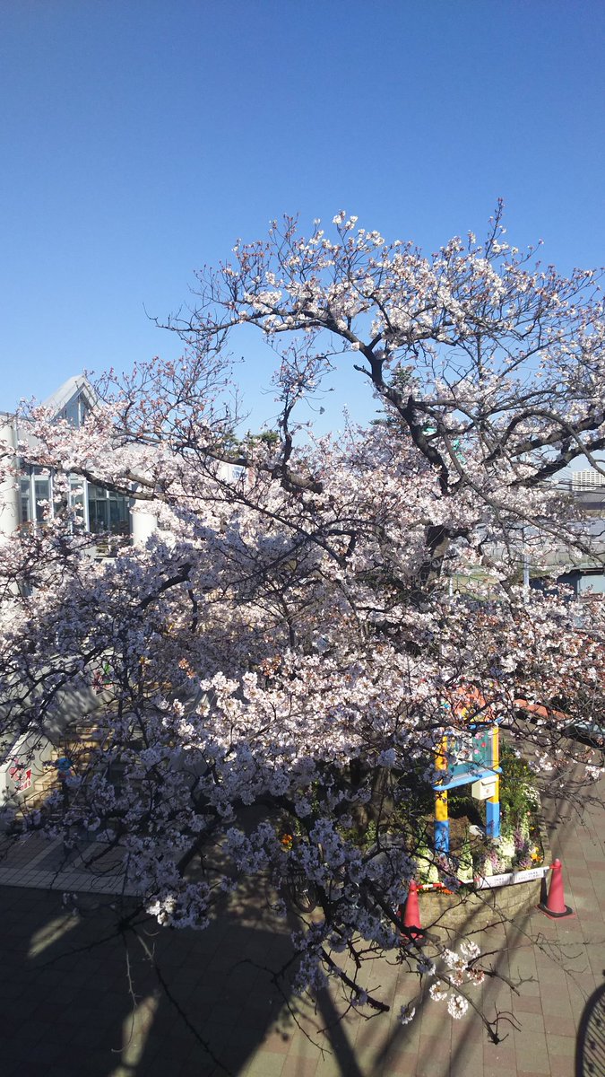 DORA事務局 (@DORAcryptcoin) / Posts / X