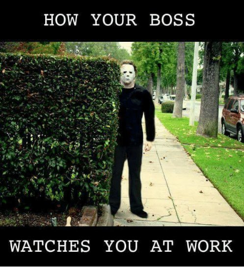 Elena Vasquez tweet media