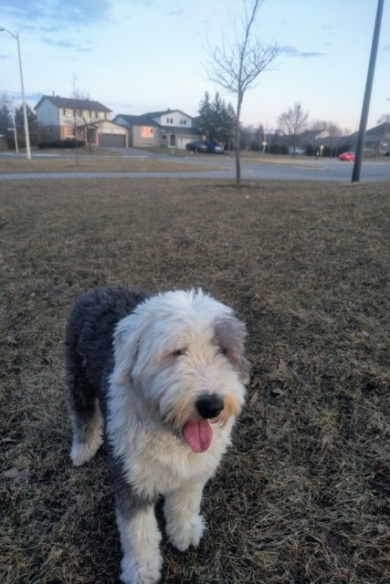 hungry for springtime from Texas in Milton