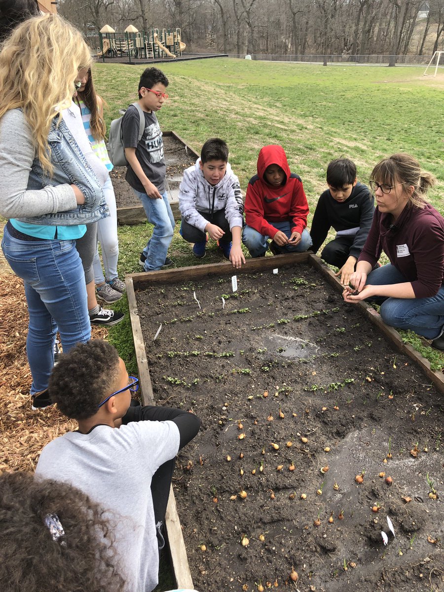 betsylawrence82's tweet photo. Who knew thinning our garden could become adventurous with trying radish leaves? @Buffaloes_SMSD #kccommunitygarden #allforcomanche https://t.co/QaCxacPO3O