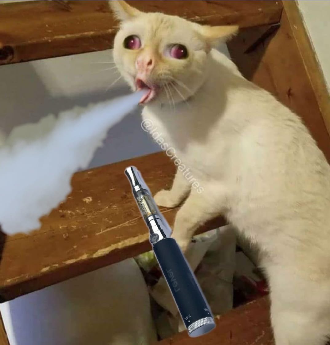 Satellite Touring tweet media