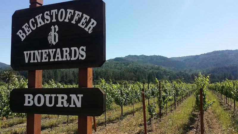 Napa's Sexiest Wine - 2016 KATA Has Arrived conta.cc/2Uf4VSP