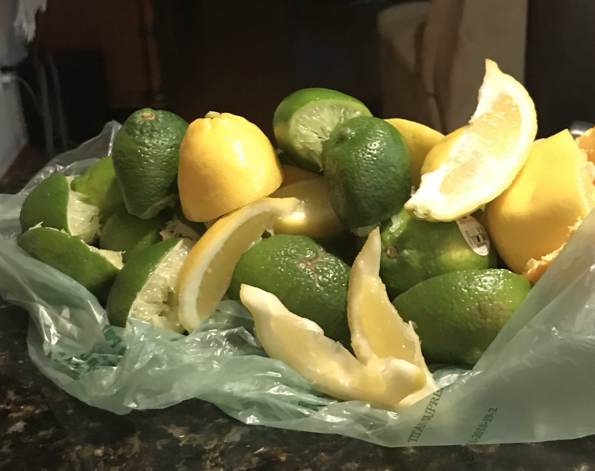Either we made some awesome margaritas or the worlds worst fruit salad
