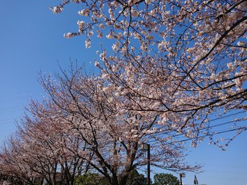 竹内結子が出演の 白い影 のロケ地まとめ 行田病院や支笏湖まで トレンドコンシェルジュ