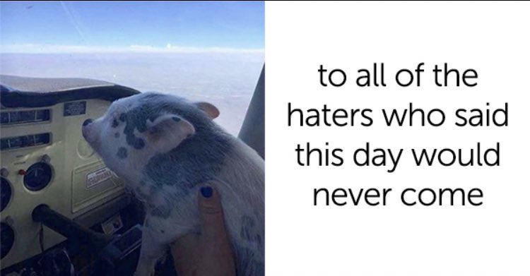 RespectfulMemes's tweet photo. https://t.co/PsGttk0R14