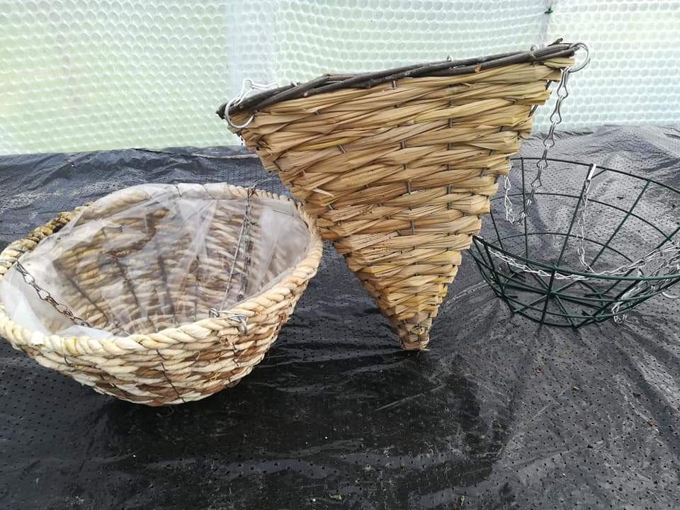 KentStNurseries's tweet photo. Now is the time to start thinking about hanging baskets. Bring us your own to refill or choose from a range of new ones. @1066Tweets @BattleObs @battlesussex @HastingsObs @PortersWineBar @TheGeorge_Inn @WebbesRockaNore @SedlescombeGolf @FILOBrewingCo https://t.co/MzeUGa01Lf