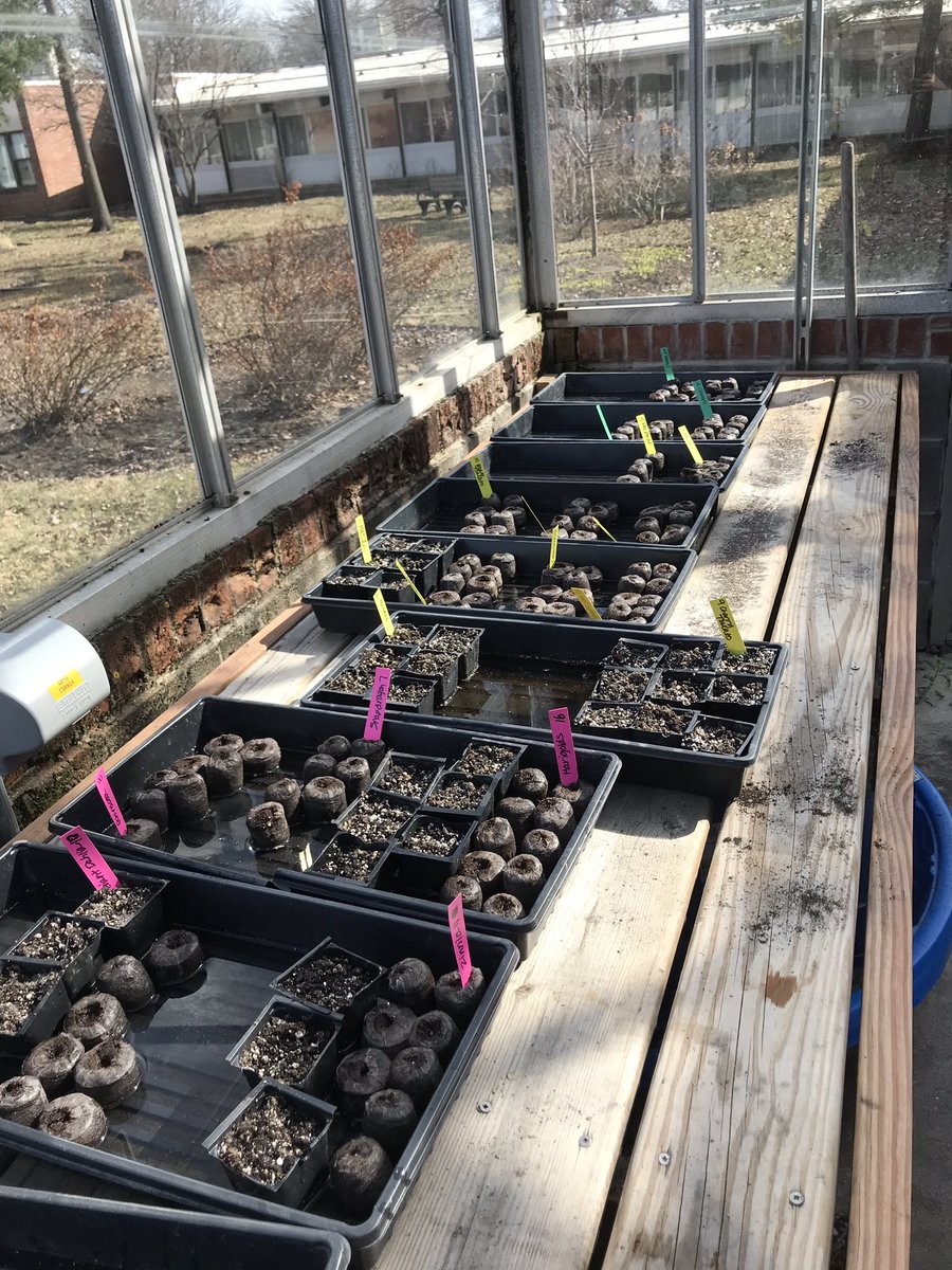 Preparations are underway for the Northwood Spring Plant Sale! We planted over 200 seeds today! <a href="/nwhuskies/">Northwood Middle School</a> #112leads