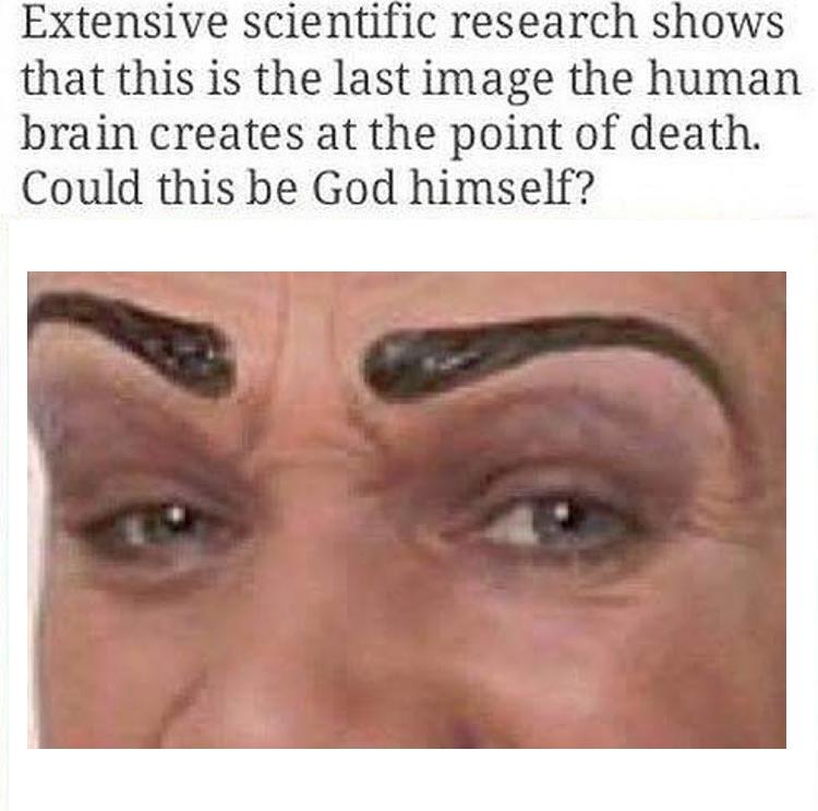 ShitpostBot 5000 tweet media