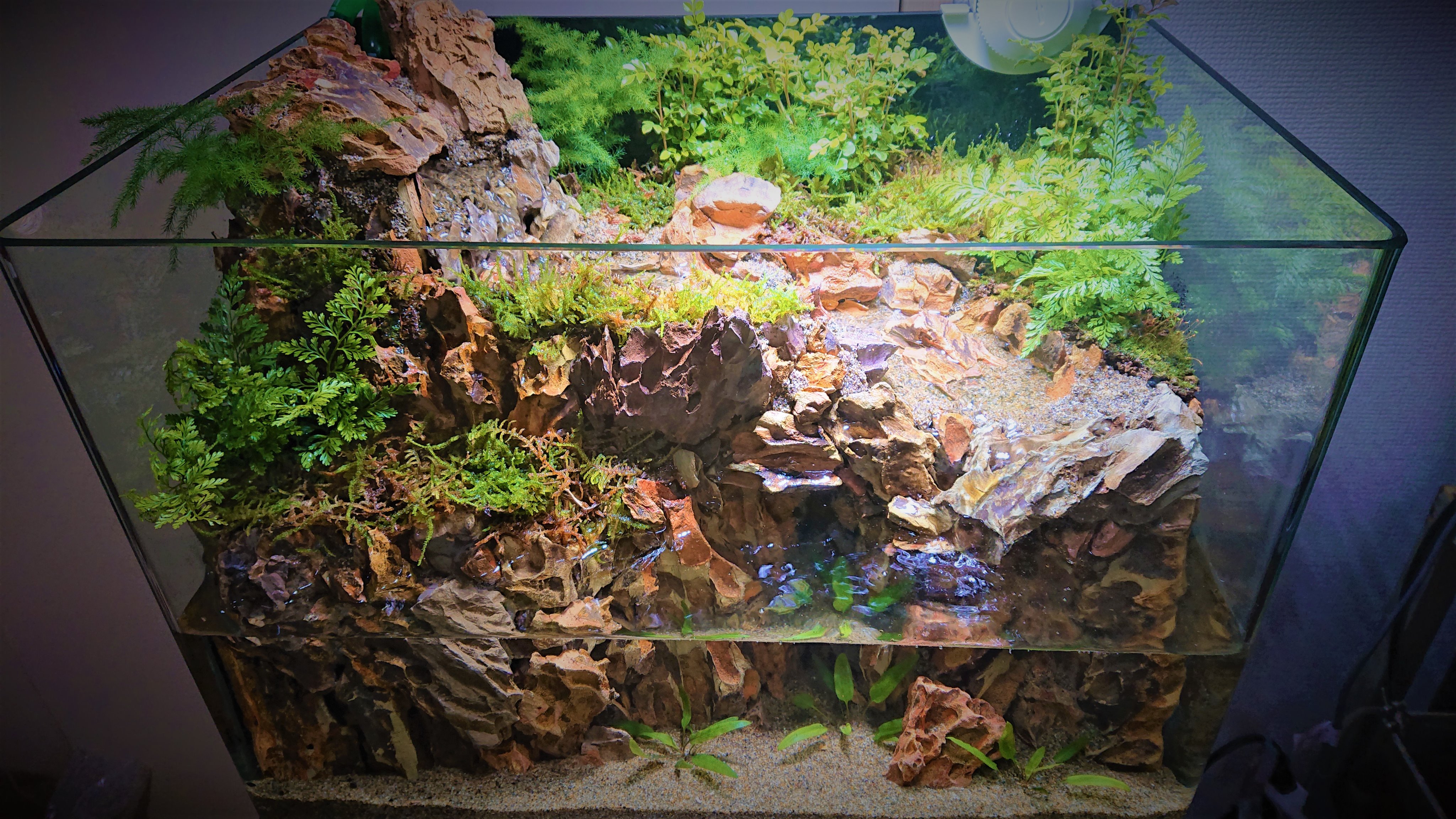 滝の流れるアクアテラリウム No.702