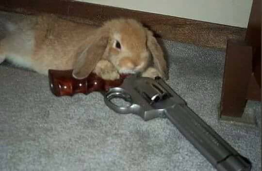 Watch ۶ৎ 𝒶𝓂𝑜𝓊𝓇 ۶ৎ's leaked NSFW photo on TwXstars