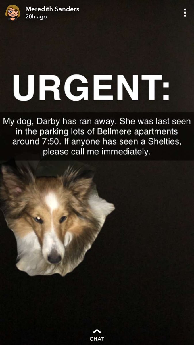 picmosso's tweet photo. PLEASE DENTON FRIENDS BE ON THE LOOKOUT. She's very loyal to Meredith and may be skittish around you. Please help find her! Tweet me if you know anything! I can let Meredith know. https://t.co/V9UyGhHUkH