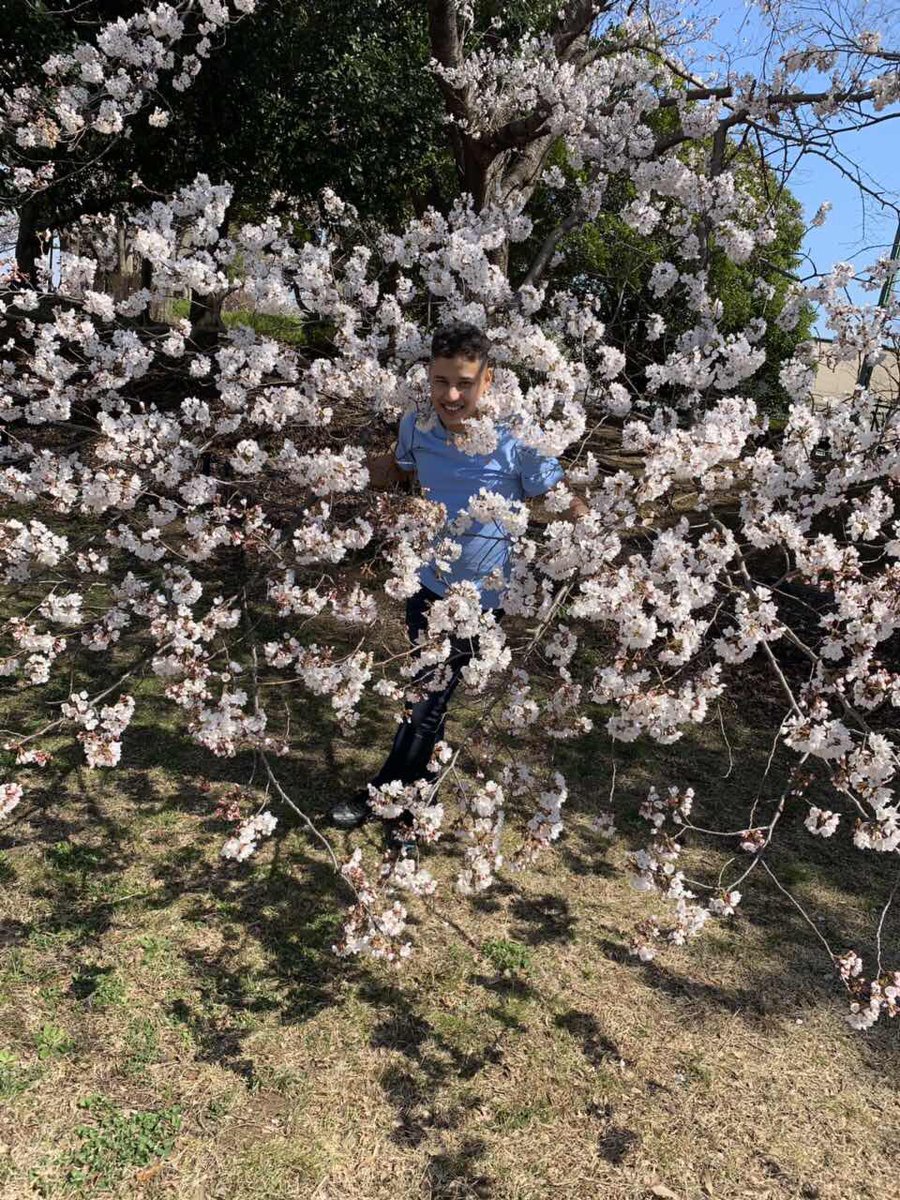 ghanash20053930's tweet photo. 桜🌸嬉しい https://t.co/v4eptGsvN6