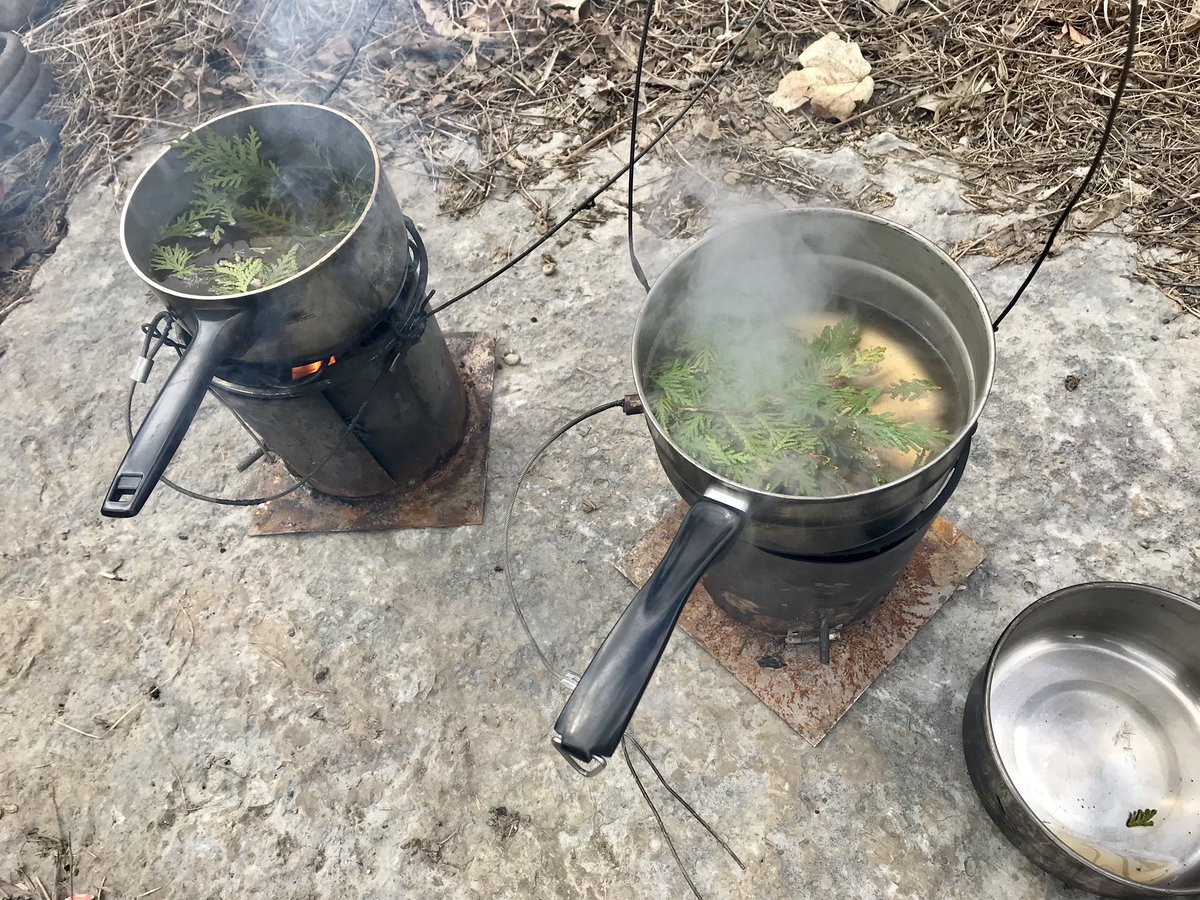 quailkwe's tweet photo. I am grateful for a good day out on the land #ninatig #mtigwaabo #sugaringmoon #cedartea #maplewater #medicine https://t.co/BJjW41fd7W