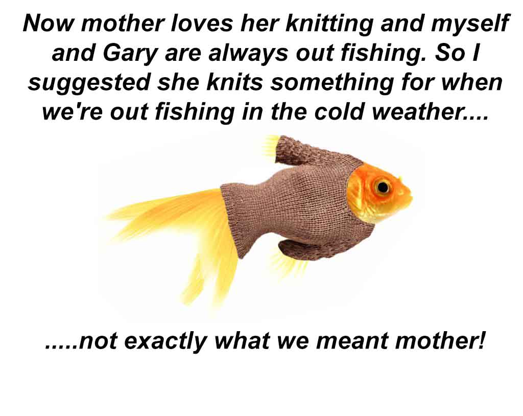 TeamCommando2's tweet image. 