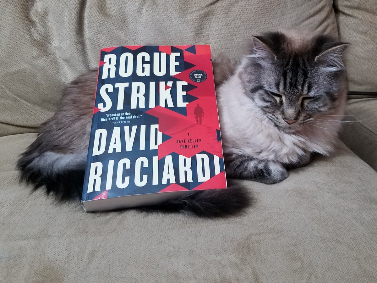 UncleT_Bag's tweet photo. My favorite #thriller debut last year was Warning Strike by @RicciardiBooks. The follow-up, #RogueStrike comes out this June and it's one of my most anticipated reads of the year! #CatsofTwitter https://t.co/XTYAWCmeHZ