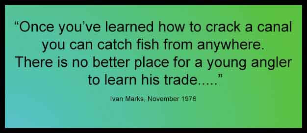 TeamCommando2's tweet image. 