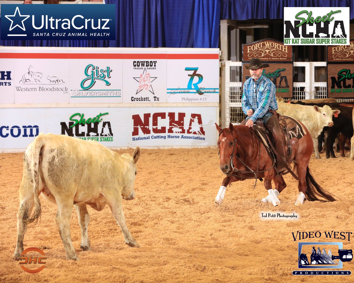 PHorseCentral's tweet photo. Open 4YO #kitkatsugar #ncha #SuperStakes 2nd Go Lloyd Cox Cutting Horses leads the way with a combined 439.5 (220.5/219) aboard EXS N OHHS (Kit Kat Sugar x Reycy Moon) owned by GaryandShannon Barker Ranch. #videowestproductions for the action shot! 
#ultracruz #cuttinghorses https://t.co/dWtY5koupa