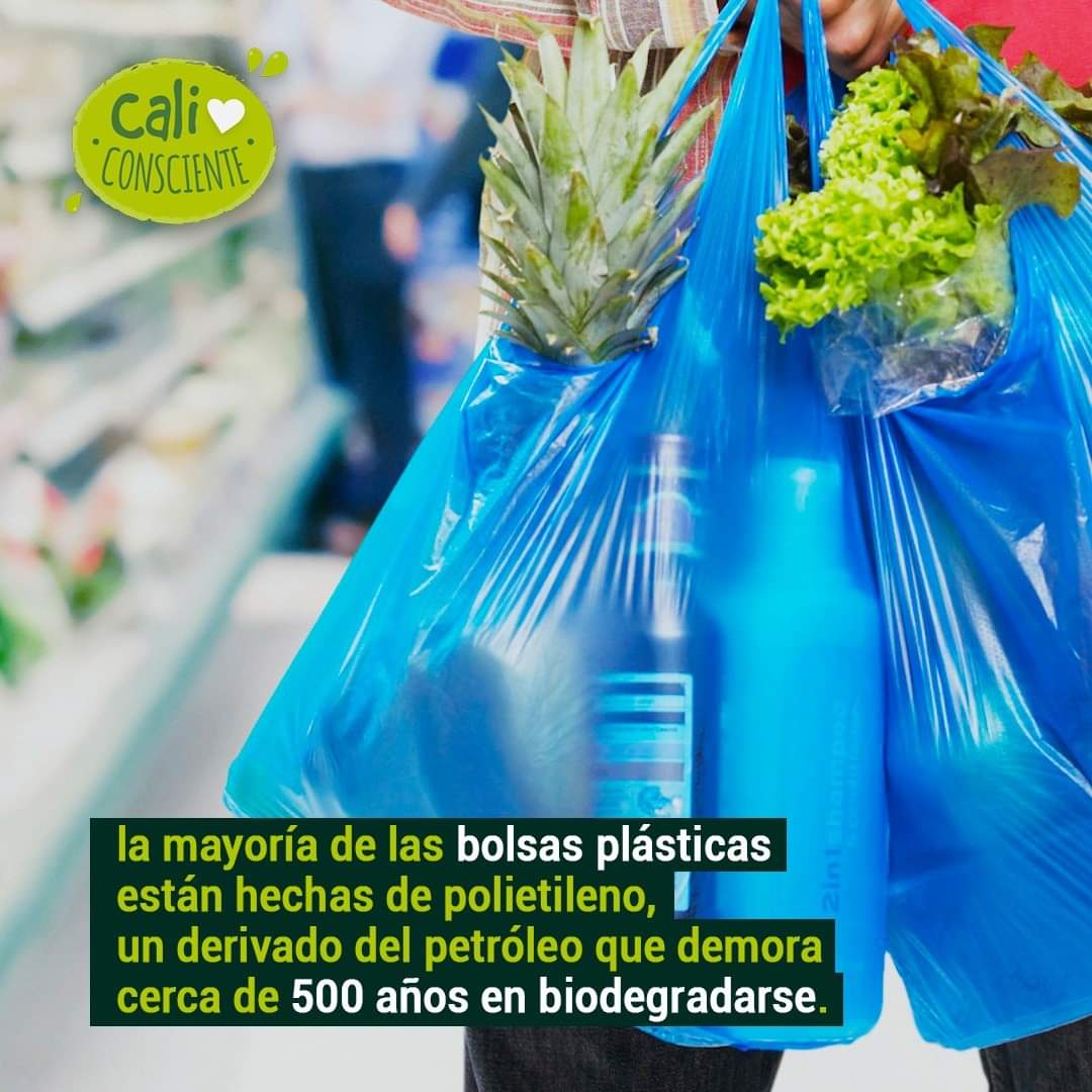 CaliConsciente's tweet photo. Repite conmigo #NoMásPlastico 👩🏫♻️💕 #CaliConsciente #CaliVerde #MejorSinPlásticos https://t.co/bSursGLzot