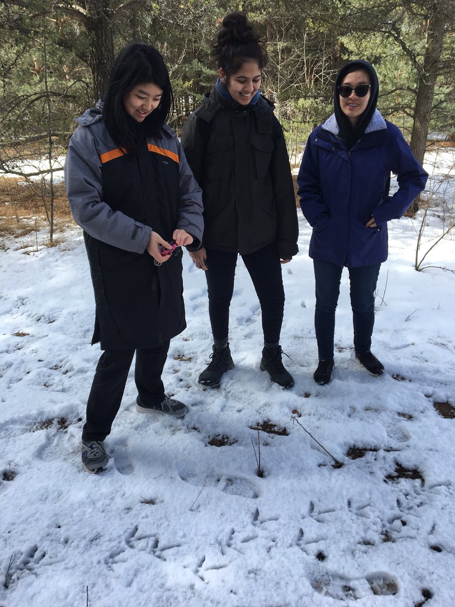 VivianORC's tweet photo. #shsmenvironment @YRDSB students out exploring tracks - #walkingcurriculum @imaginEDnow @CIRCE_SFU @perfinker a little birding too! https://t.co/9QVYxB5HPv