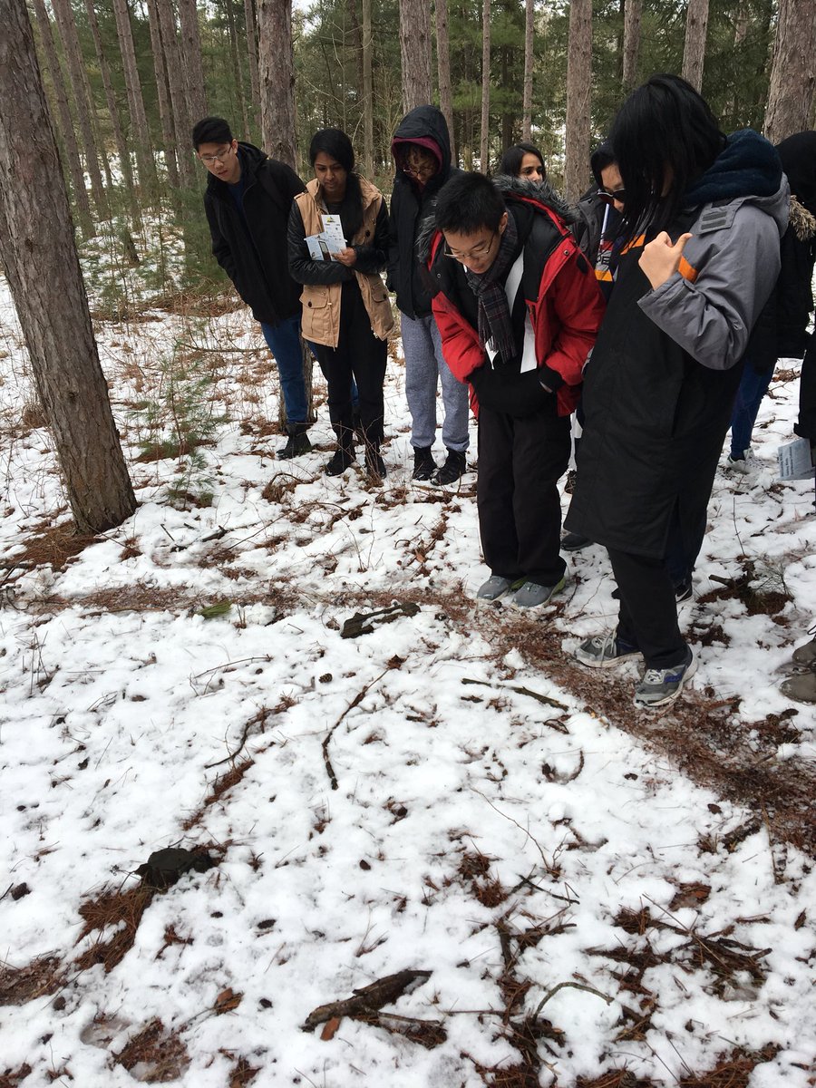 VivianORC's tweet photo. #shsmenvironment @YRDSB students out exploring tracks - #walkingcurriculum @imaginEDnow @CIRCE_SFU @perfinker a little birding too! https://t.co/9QVYxB5HPv
