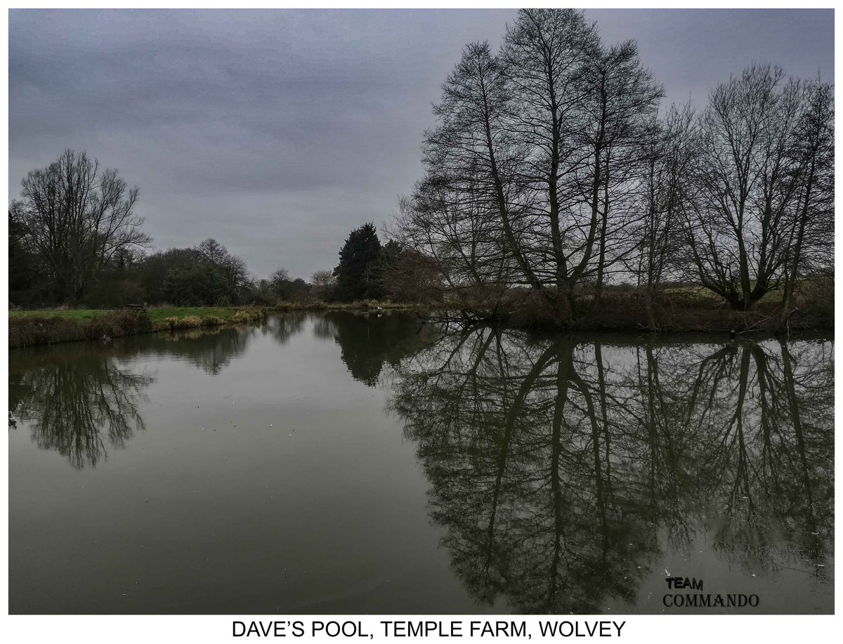 TeamCommando2's tweet image. 