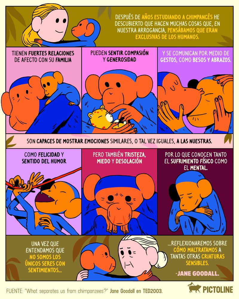 pictoline's tweet photo. Feliz cumpleaños, Jane Goodall 🐒❤️
La experta en chimpancés nos recuerda que los humanos no somos los únicos seres con sentimientos https://t.co/bzMVvUvIYx