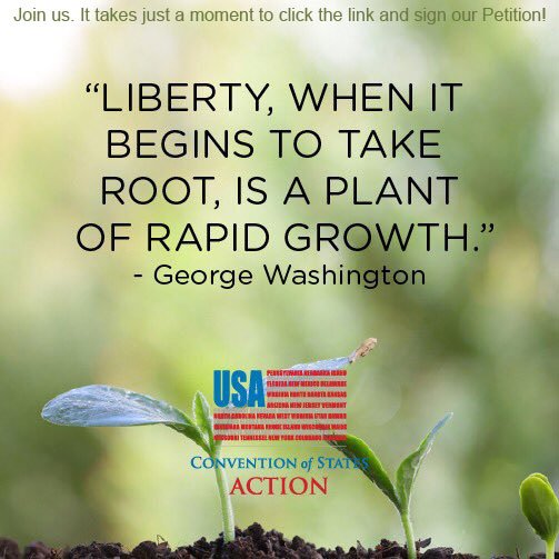 COSRally's tweet photo. Let's take care to water that plant! 

https://t.co/LWsJSXxrqP  

#COSProject #WeDecide https://t.co/3QhBk5X8d6