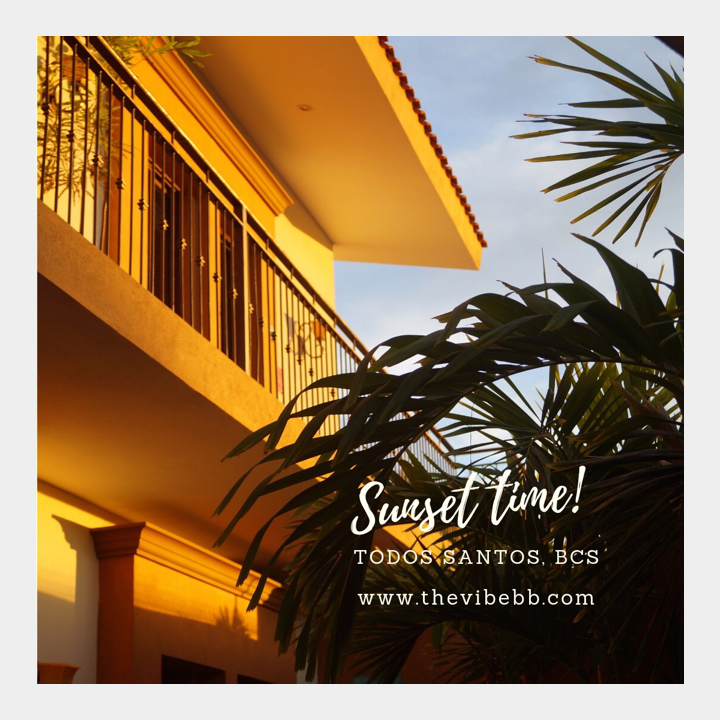 thevibebb's tweet photo. Our favorite time of the day is here! 🧡
Visit us at Todos Santos and start feeling The Vibe!
https://t.co/z3OW6S7czP
.
.
.
#thevibe #bedandbreakfast #todossantos #sunset #sunsettime #bcs #baja https://t.co/hwAiindRif