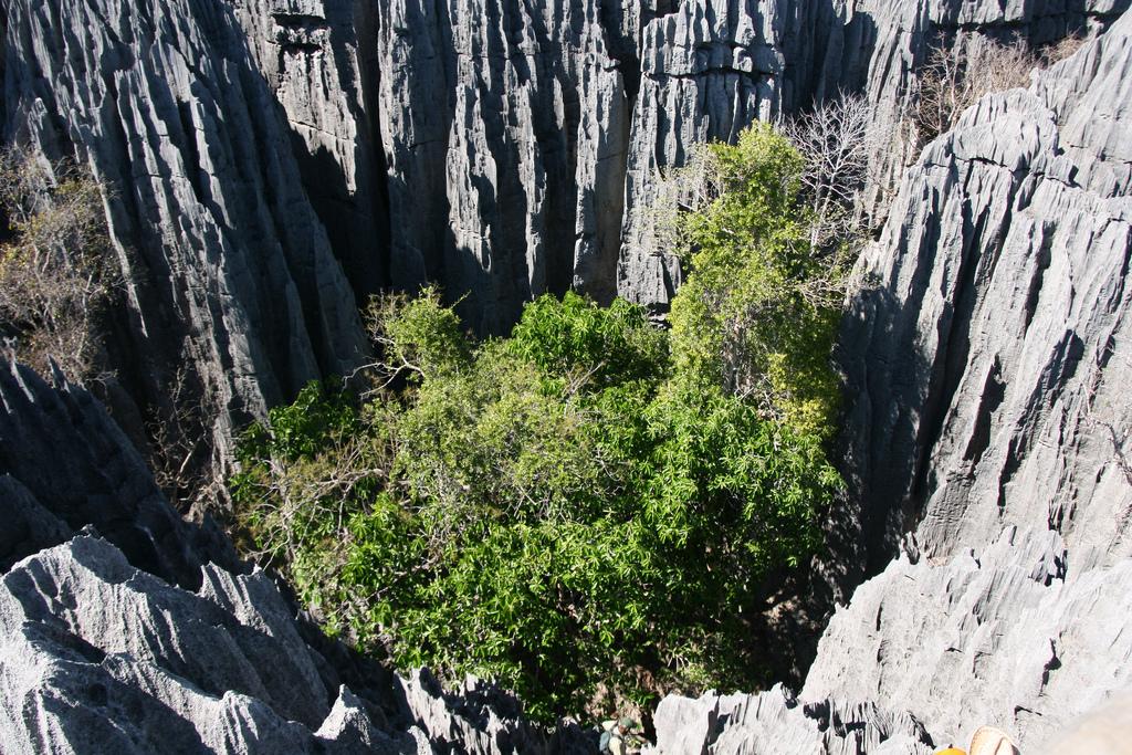 MyShoot2's tweet photo. #Trip #Travel #Voyage #SudEst
#Tsingy #Bemaraha #Madagascar
😍😍😍😍😍😍 https://t.co/AZ6bqbVRxi