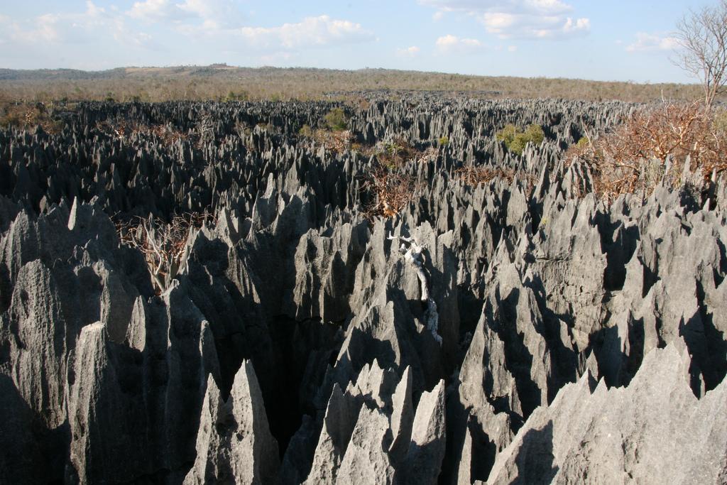 MyShoot2's tweet photo. #Trip #Travel #Voyage #SudEst
#Tsingy #Bemaraha #Madagascar
😍😍😍😍😍😍 https://t.co/AZ6bqbVRxi