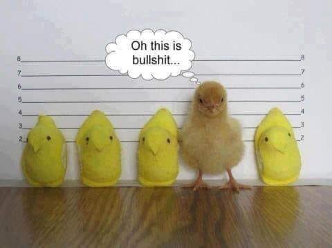 PaulaGrabow's tweet image. This is what a lineup looks like in #CorruptiwocCounty #FreeBrendanDassey #FreeStevenAvery #MakingAMurderer2