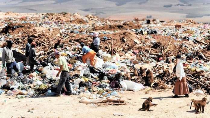 FairPlayZA's tweet photo. Africa has become the dumping site for unwanted foodstuff such as the current dumping of chicken in Namibia and South Africa. "South Africa and Africa have to stand up and say no to being the dumping ground for the rest of the world" @Africa_com https://t.co/asYTb2XrXp https://t.co/JxaB3FCeEy