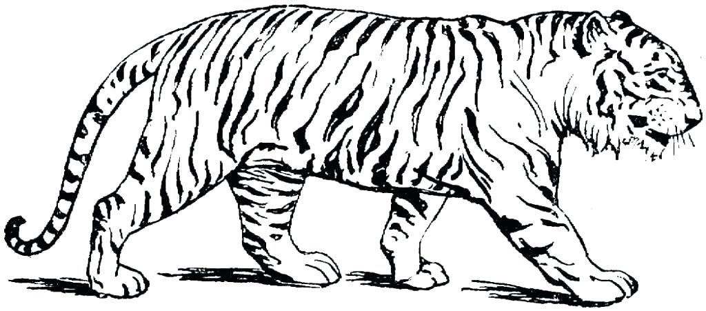 InspireHalton's tweet photo. lion pictures to color - Google Search https://t.co/I4rgop3lEV https://t.co/h7CrNSM0O6