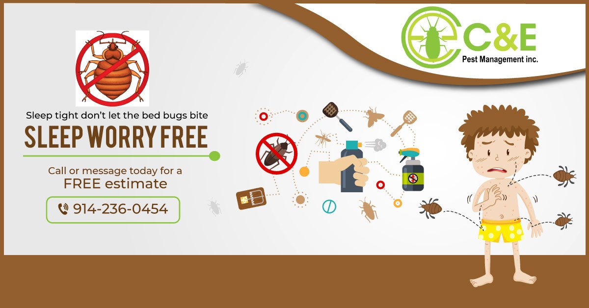 Sleep worry free and #bedbug free. Call or message us for a free estimate. We work 7 days a week and same day service. 914-236-0454 . #pestcontrol #exterminator