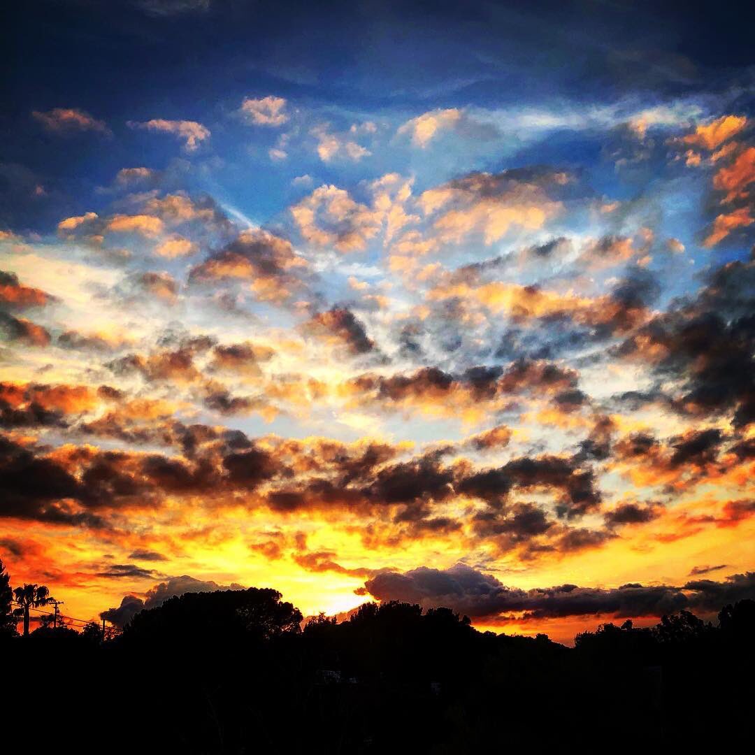 FennecMusic's tweet photo. The fantastical spectacular. 

#light #losangeles #sunset #inspiration #skyfires #seeforever https://t.co/Nq8UmCVdei