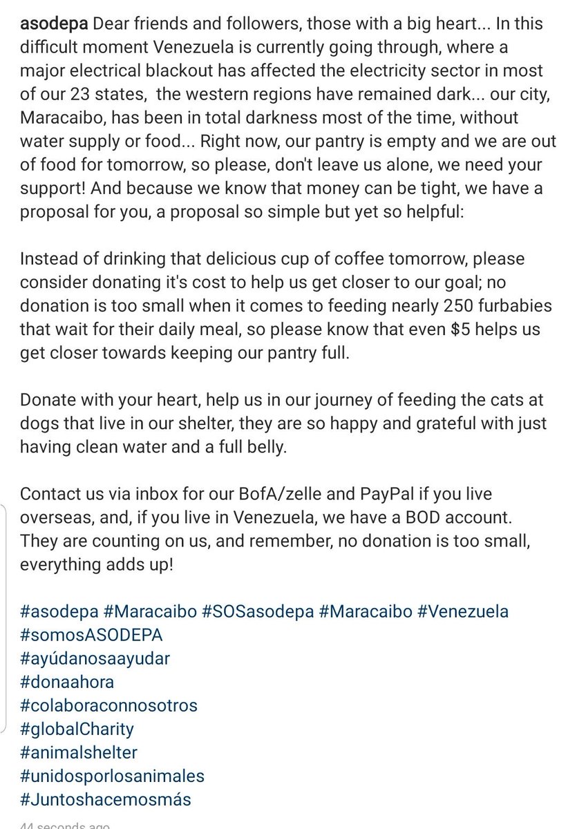 Asodepa's tweet image. Please help us! We need to keep working for the almost 250 cats and dogs that live in our shelter! Help us keep their belly full! Donate your coffee towards our NGO 🙏🏻

#asodepa #Maracaibo #globalCharity #animalshelter #Venezuela #AnimalRights #sosvenezuelanow