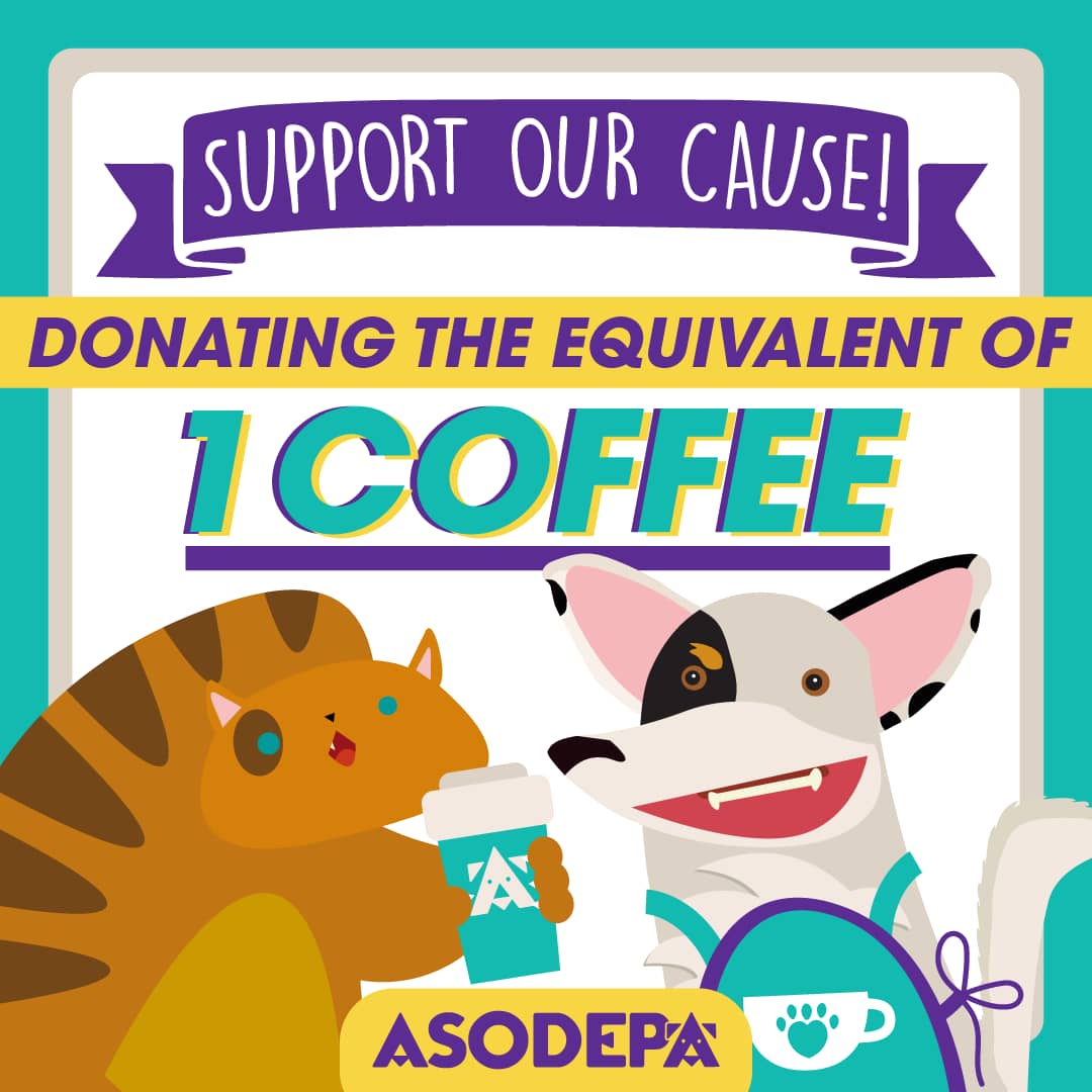 Asodepa's tweet image. Please help us! We need to keep working for the almost 250 cats and dogs that live in our shelter! Help us keep their belly full! Donate your coffee towards our NGO 🙏🏻

#asodepa #Maracaibo #globalCharity #animalshelter #Venezuela #AnimalRights #sosvenezuelanow