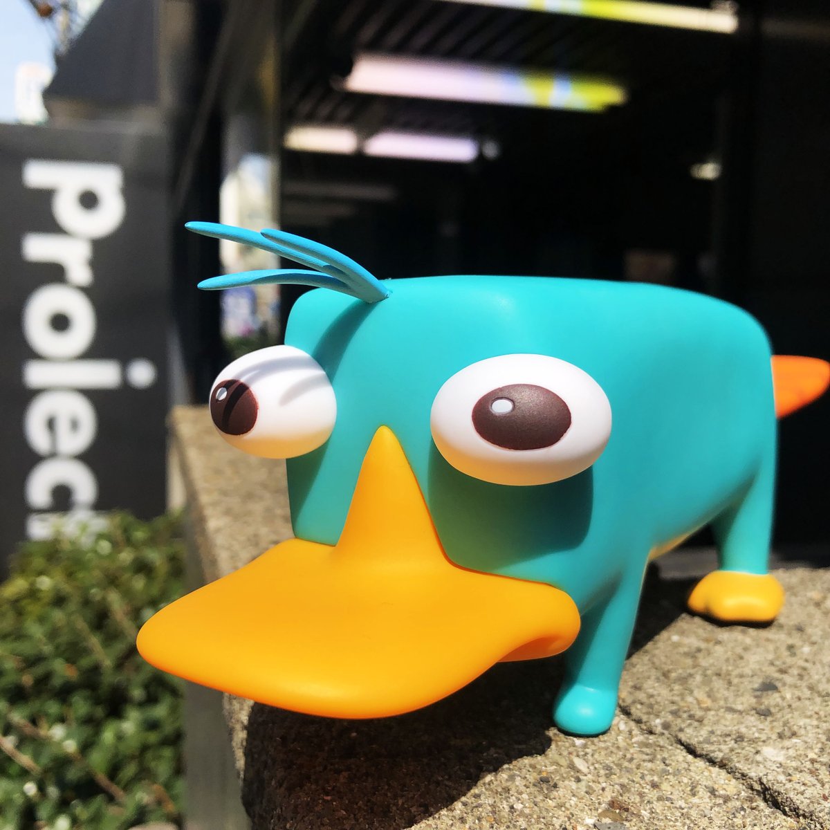 レア商品】フィニアスとファーブ VCD カモノハシペリー フィギュア