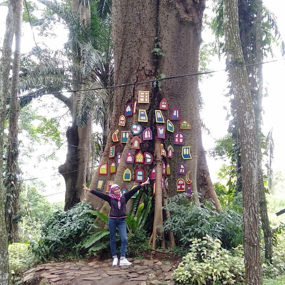 Bukit Baros (@bukit_baros) on Twitter photo 