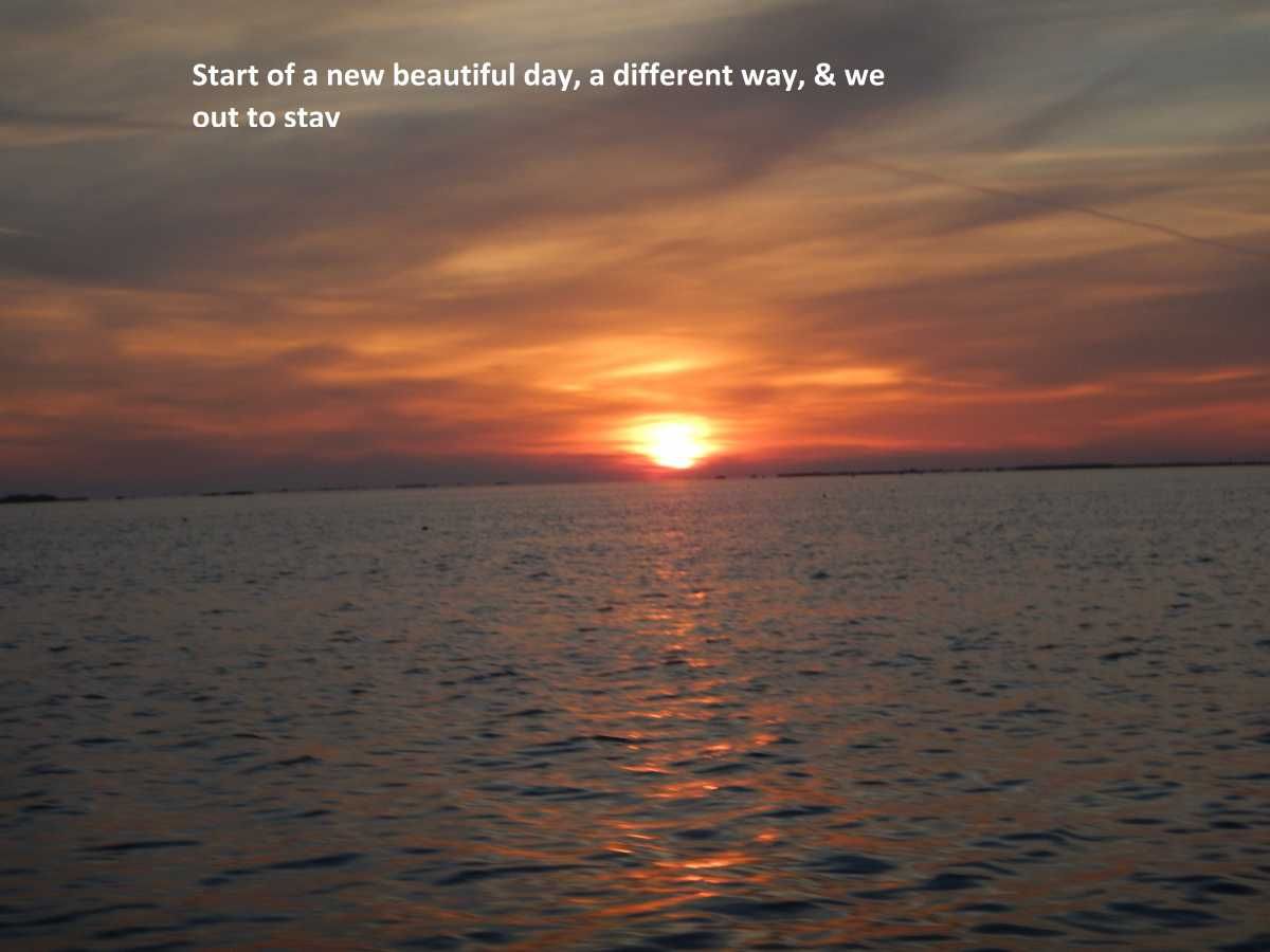 All RnR reports by   
Link:  rodnreel.com/report-author/… 
 Getem next time