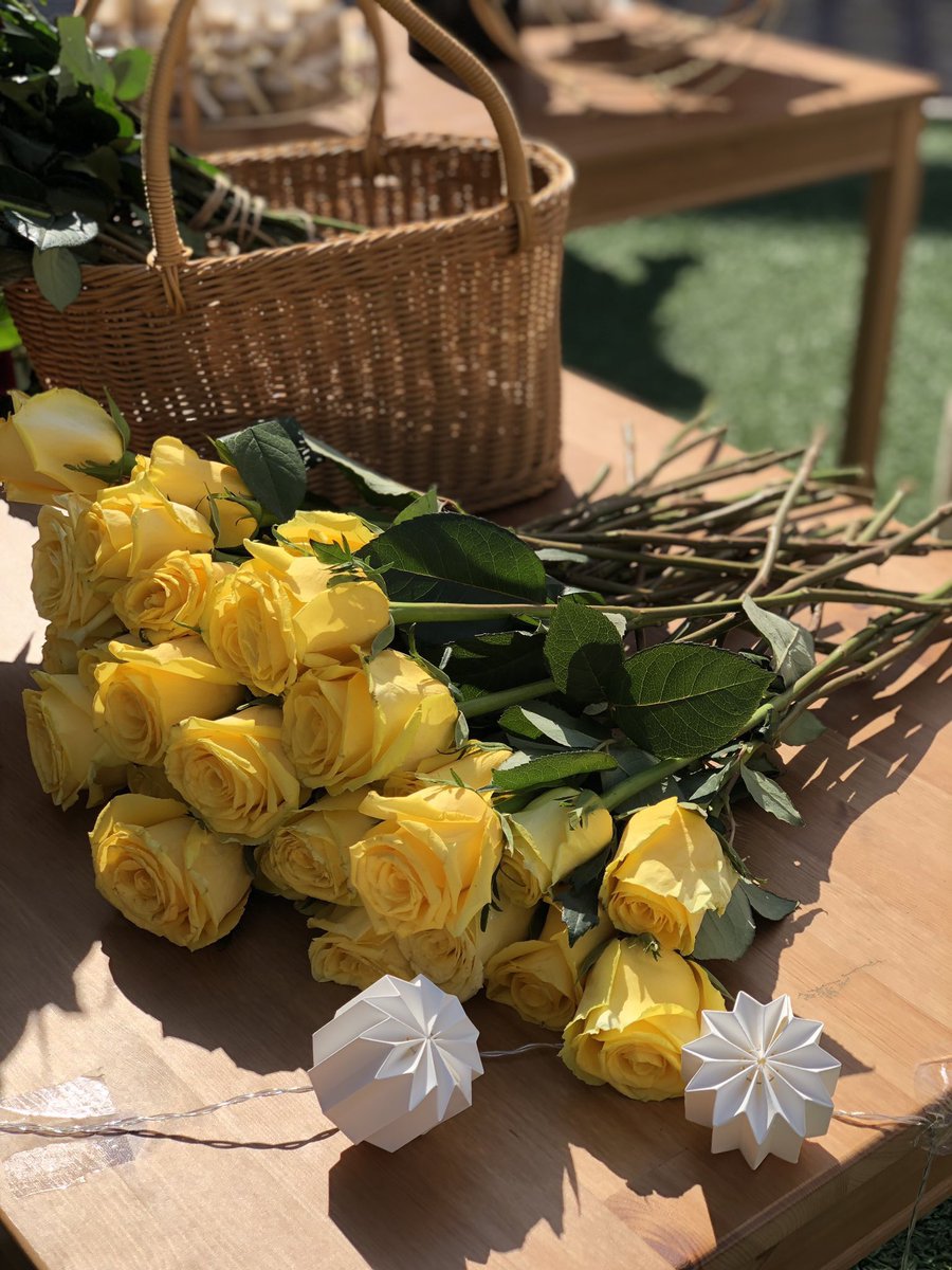 BGsugei's tweet photo. #صباح_الخميس إبتسموا لِـ باب الصُبح وسكّروا على عتمة أمس , تناسوا وإنسوا .. 🕊 https://t.co/7LST0RSOz5