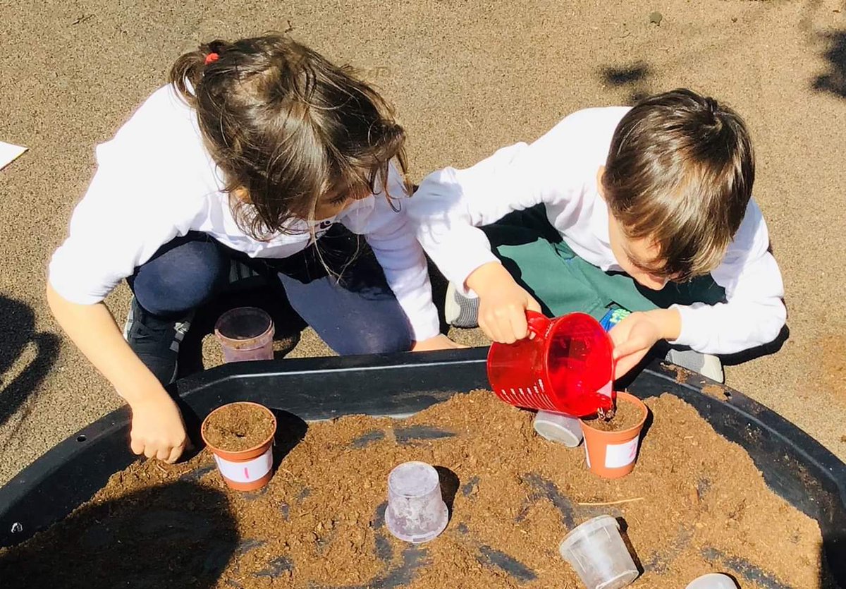 CSBucharest's tweet photo. The Kindergarten's Value of the Month is Environmental Awareness. To learn more about the life cycle of plants, students planted sunflower seeds and had to decide what they needed to grow.  #CSBFBV #CSBFundamentalBritishValues #CSBBiology #CSBScience #CSBKG #CSB https://t.co/VFW5ovranr