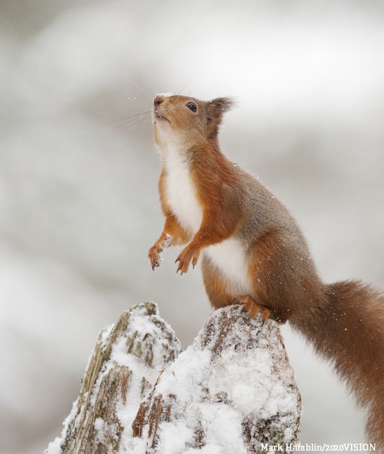 When #SnowInApril leaves you feeling confused 🌨️