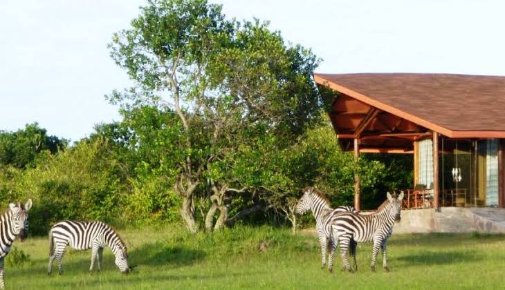Bountifulsafari's tweet photo. Enjoy a great view of Serengeti and the Maasai Mara with a perfect experience of seeing the Wild Animals at your doorstep at Simba Oryx for just Ksh 26,400-PPS. Book today and let's have a scintillating #BountifulExperience during #EasterNaBountiful https://t.co/YrDizpjmPp